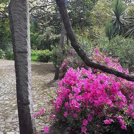 بيت للعطل Cottage Abragao