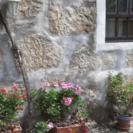 Cottage بيت للعطل *