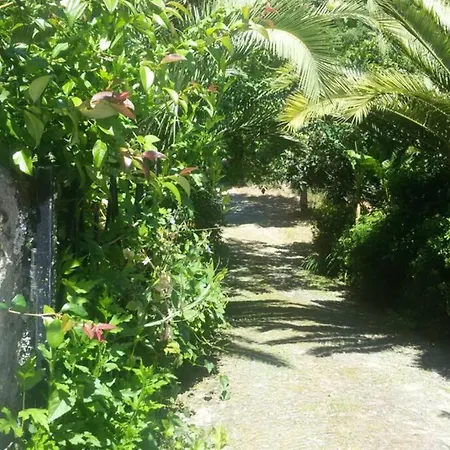 Cottage Hébergement de vacances *