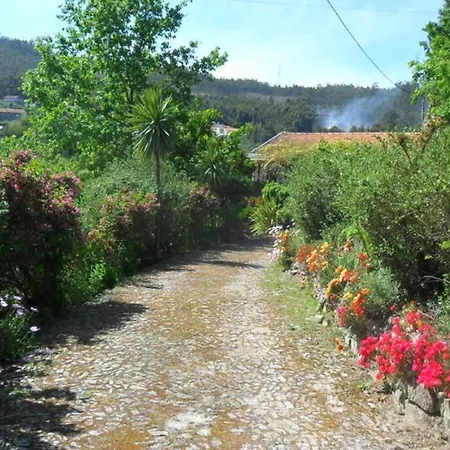 Cottage *