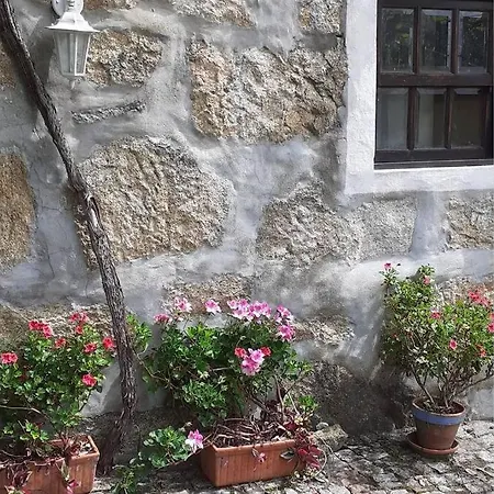Cottage Дом отдыха *