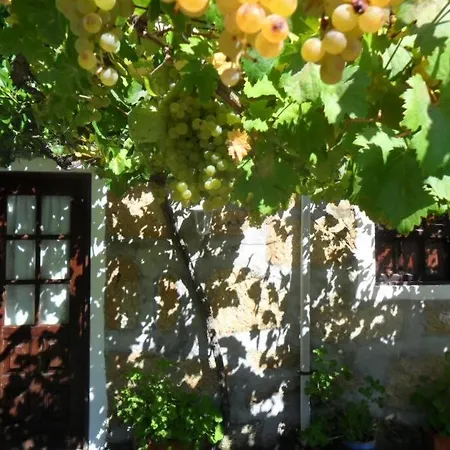 Дом отдыха Cottage