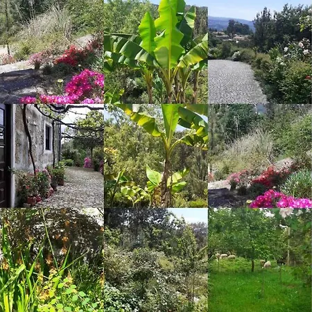 بيت للعطل Cottage