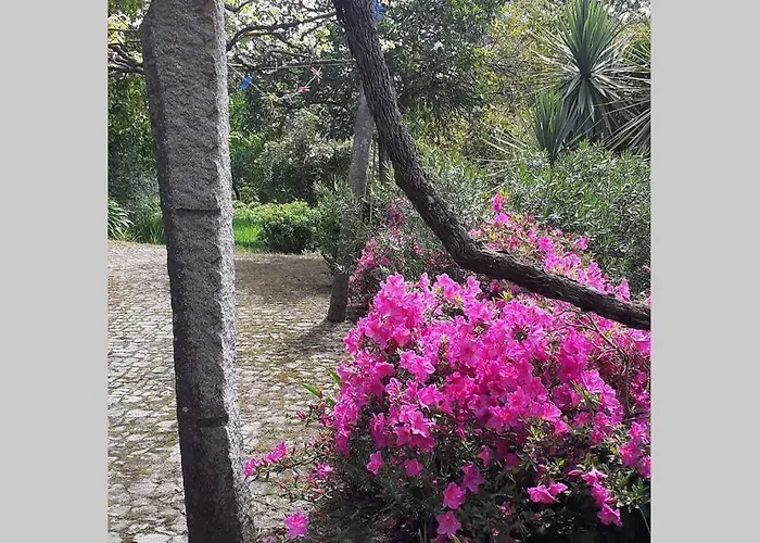 Сasa de vacaciones Cottage Abragao