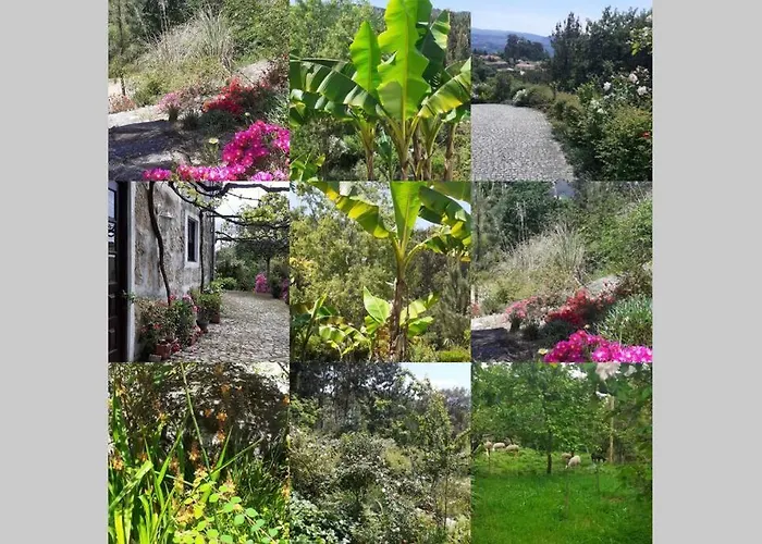 Сasa de vacaciones Cottage